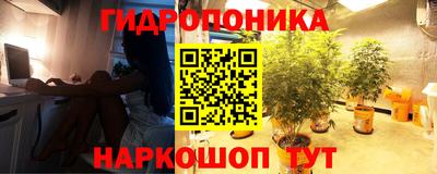 спиды Малгобек