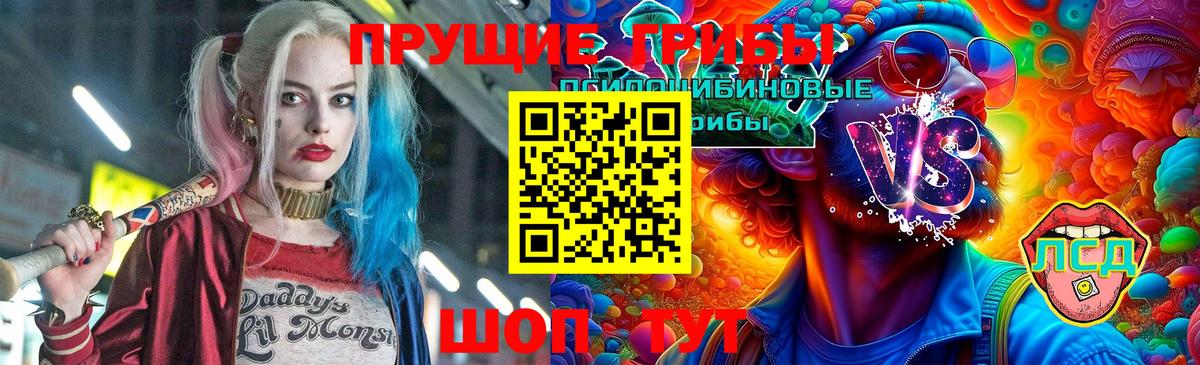 Псилоцибиновые грибы MAGIC MUSHROOMS  Вход с VPN  Урус-Мартан 