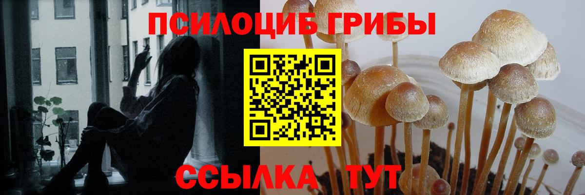 Галлюциногенные грибы ЛСД Урус-Мартан